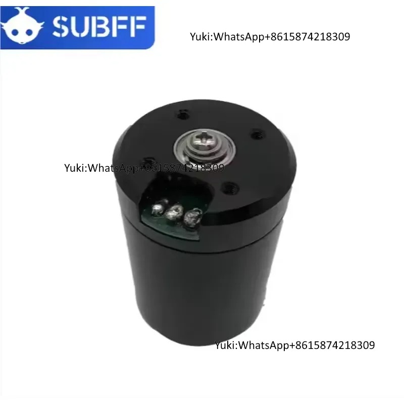 Brushless Motor - Motore Brushless DC Subacqueo da 24V